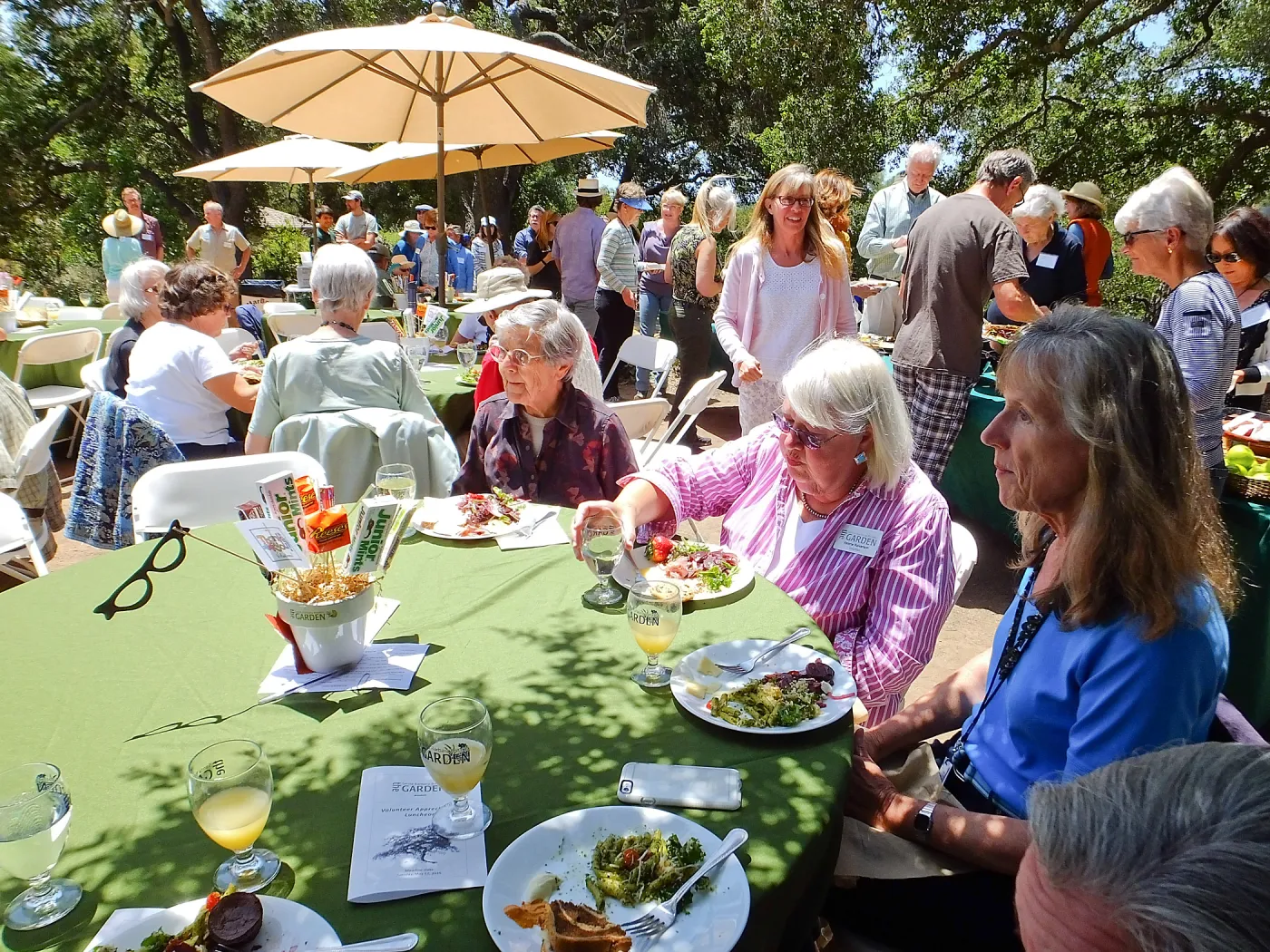 Volunteer Luncheon 2015