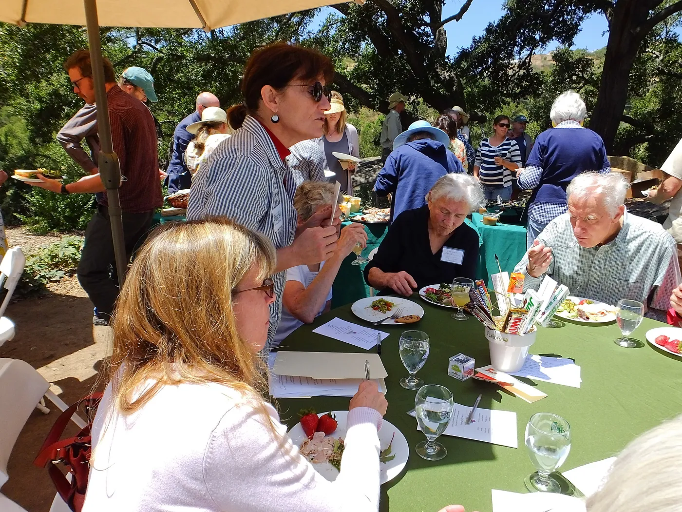 Volunteer Luncheon 2015