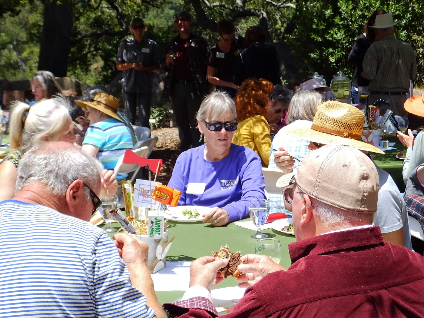 Volunteer Luncheon 2015