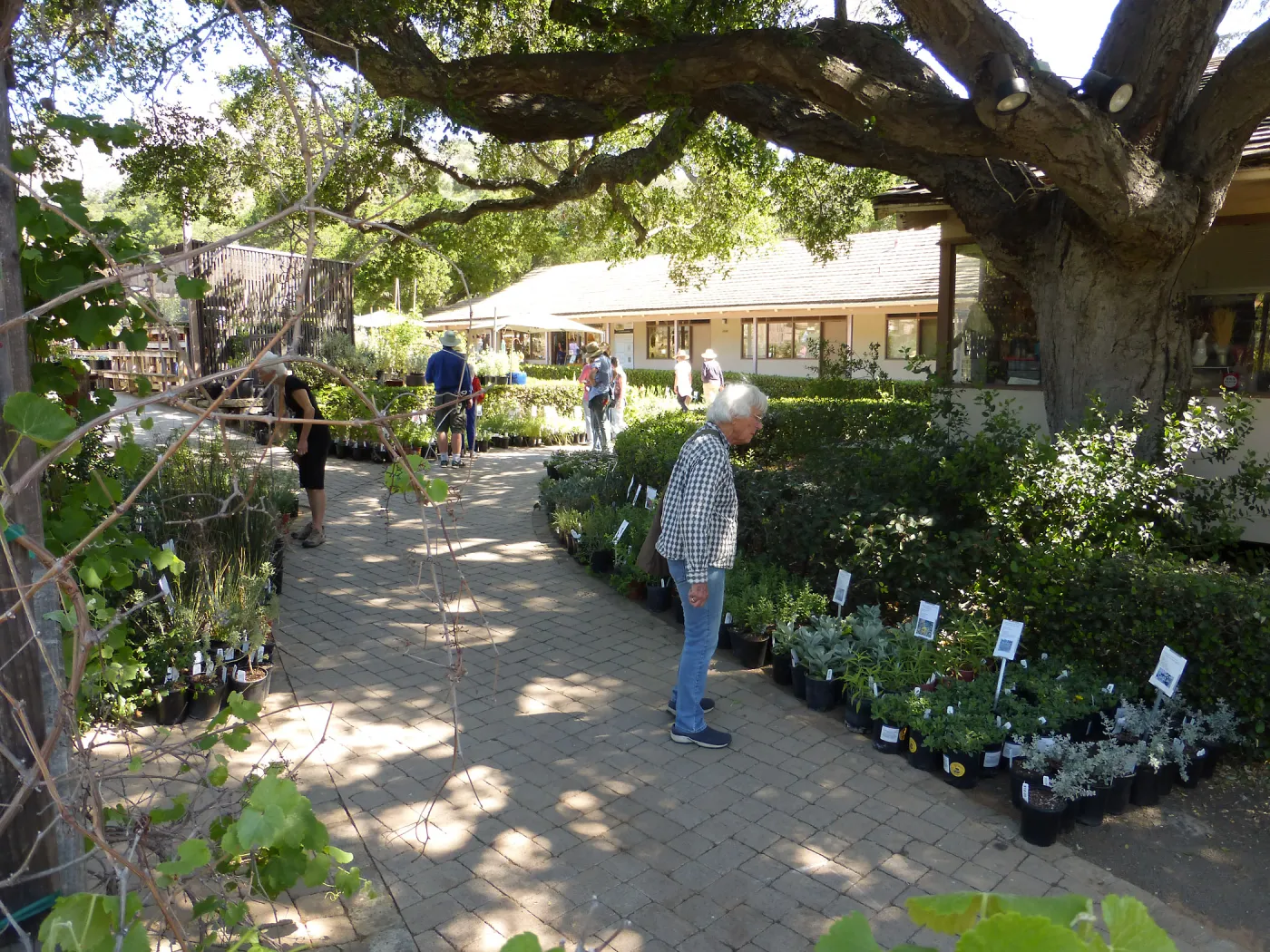 Spring Plant Sale 2015
