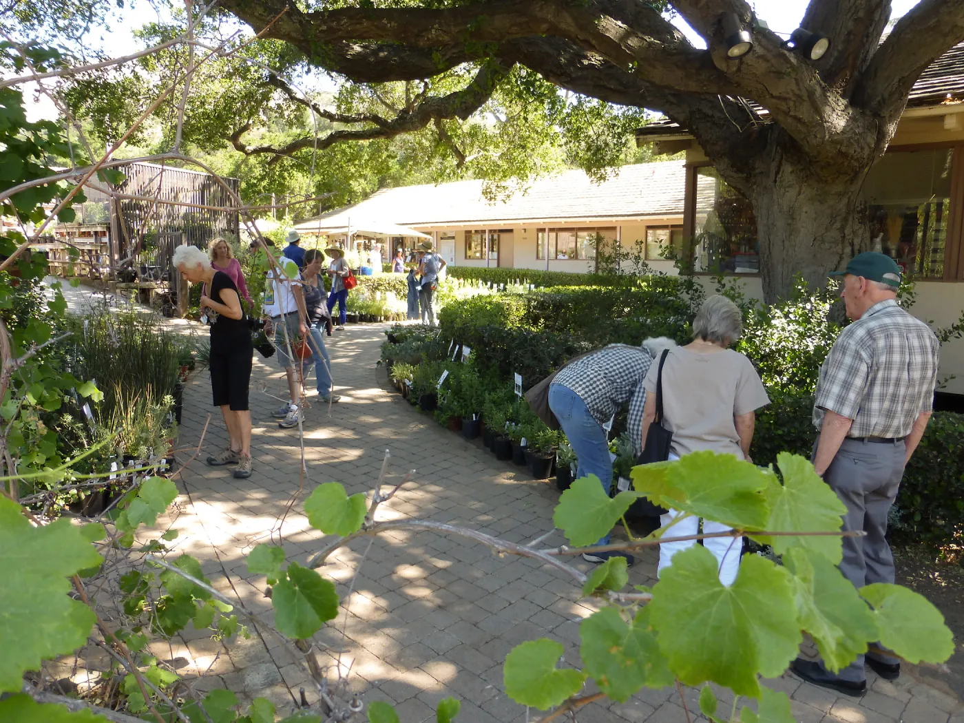 Spring Plant Sale 2015