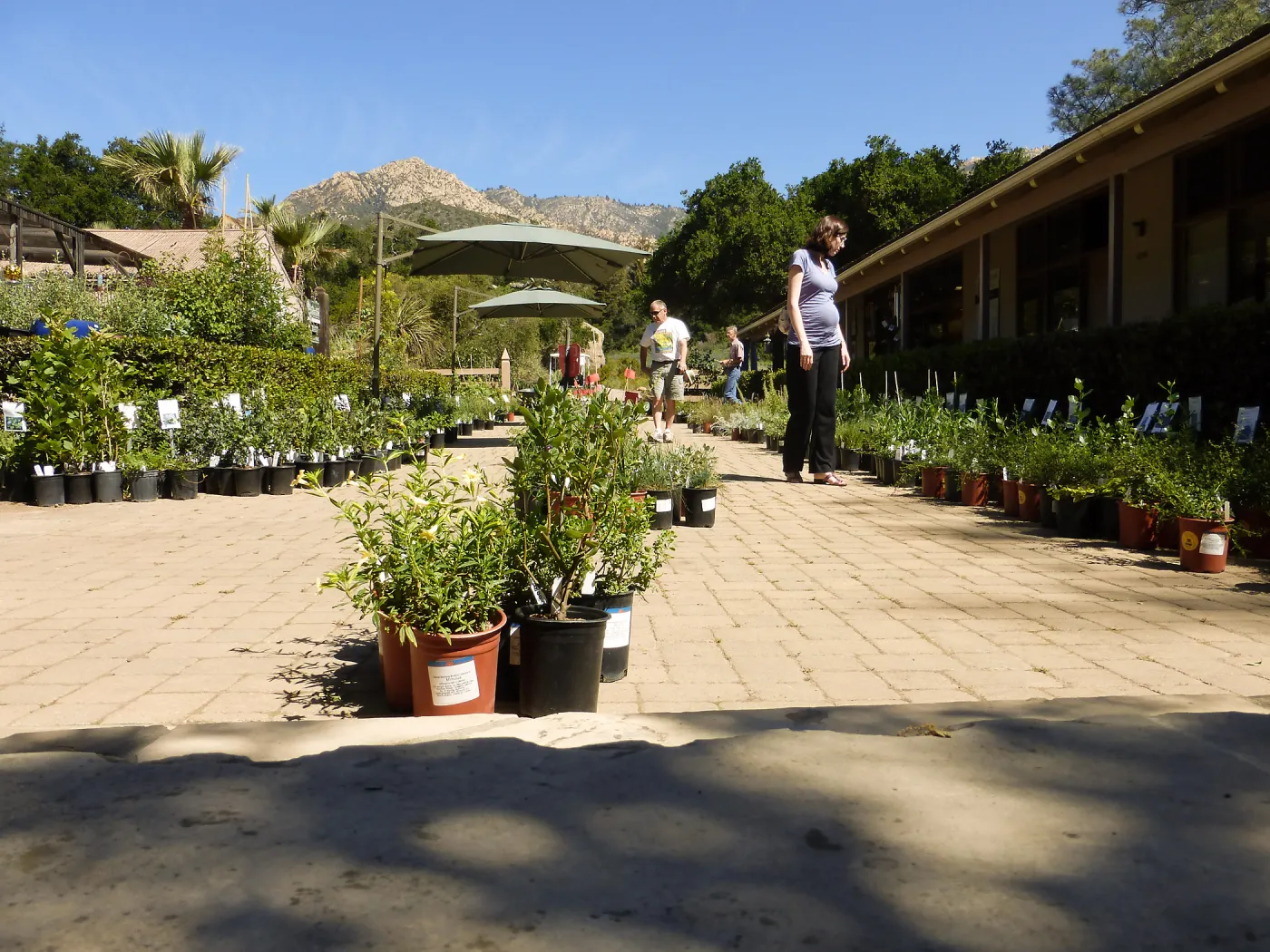 Spring Plant Sale 2015