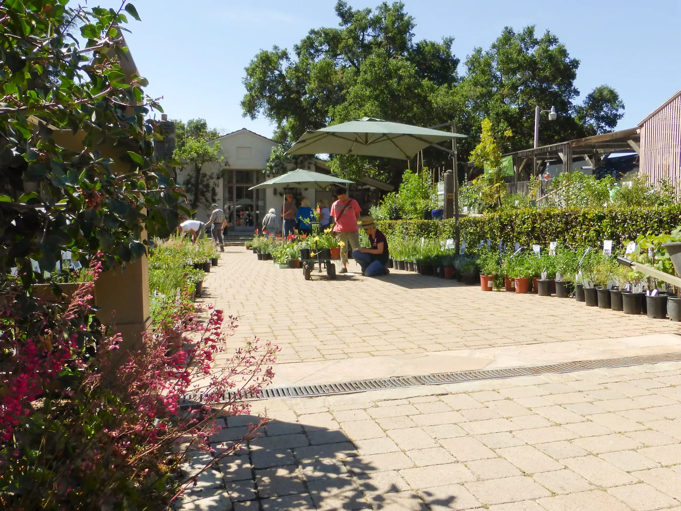 Spring Plant Sale 2015