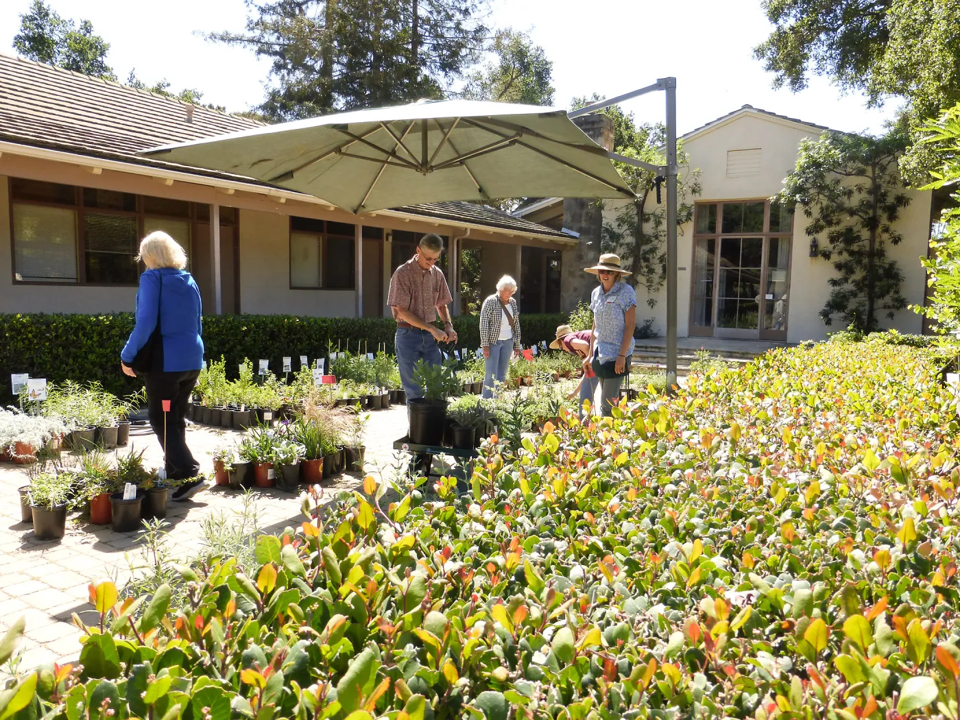 Spring Plant Sale 2015