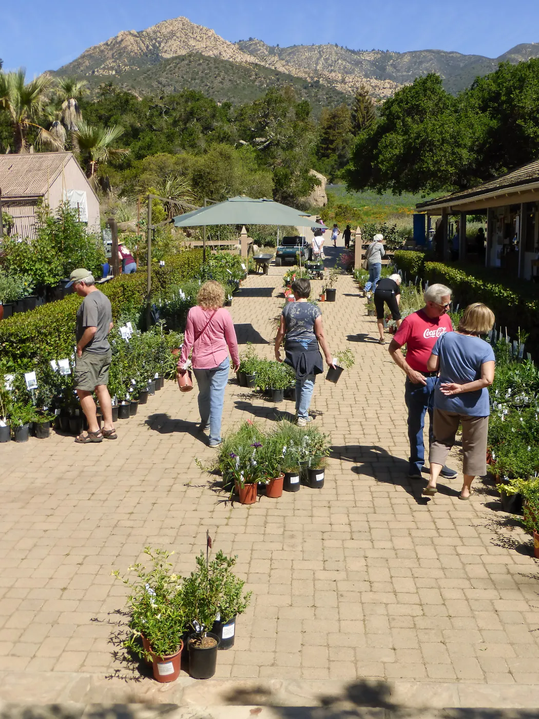 Spring Plant Sale 2015