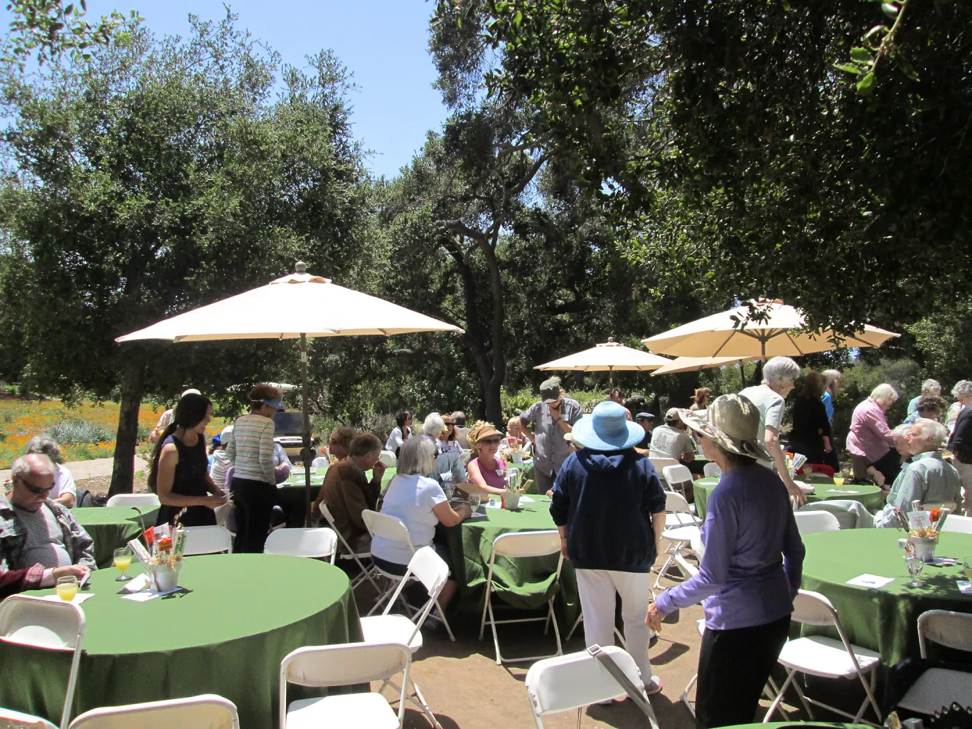 Volunteer Luncheon 2015