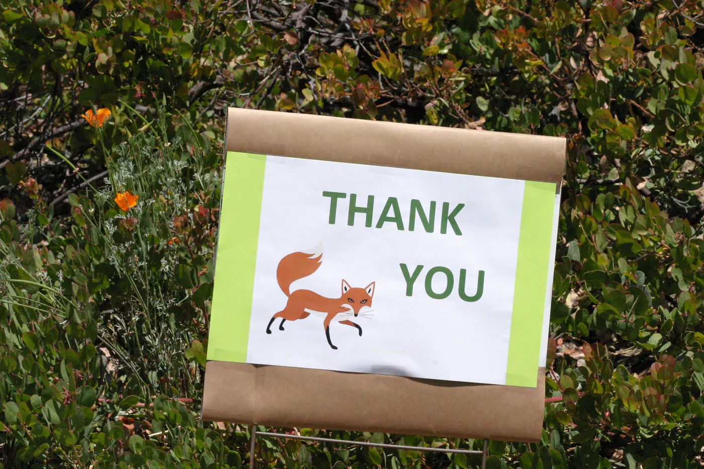 Volunteer Luncheon 2015