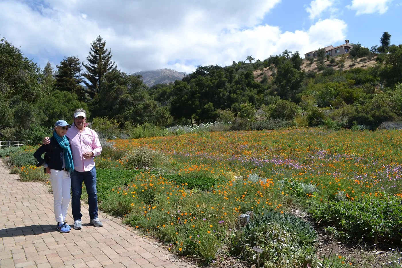 Seniors Free Day visitors at upper Meadow
