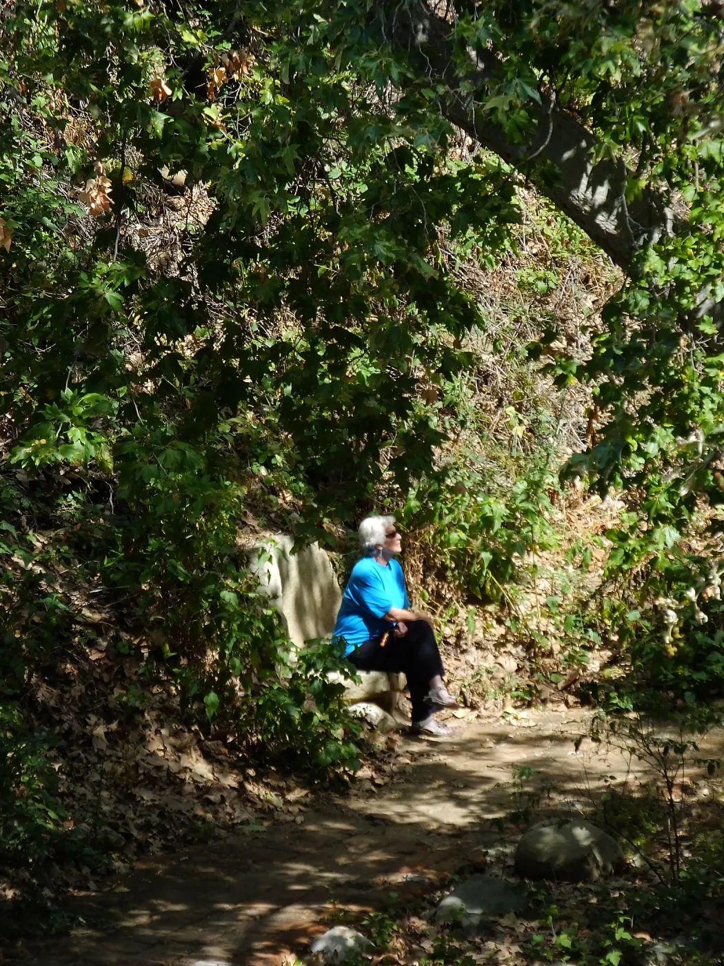 Seniors Free Day, visitor at Taylor Bench