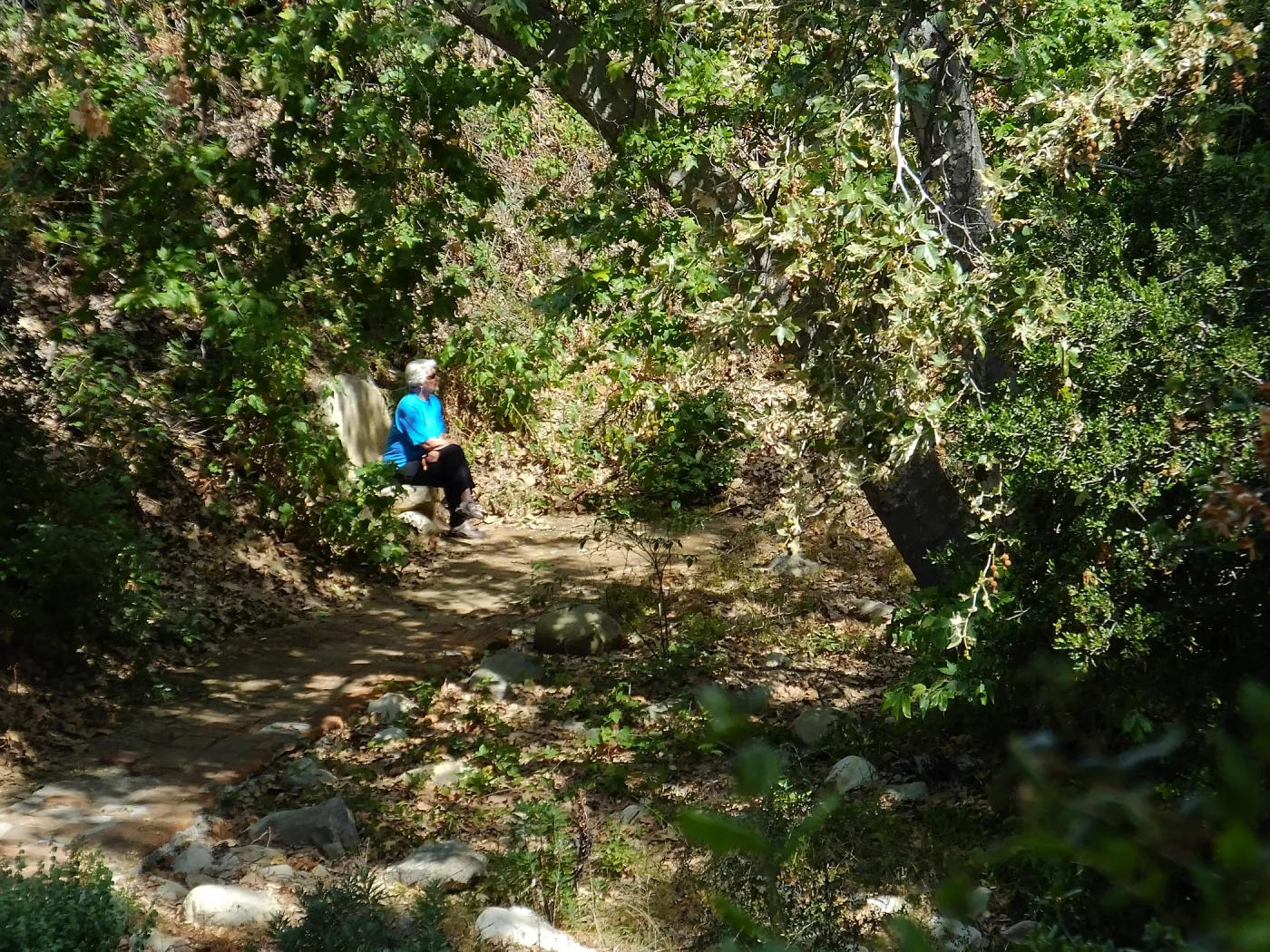 Seniors Free Day, visitor at Taylor Bench