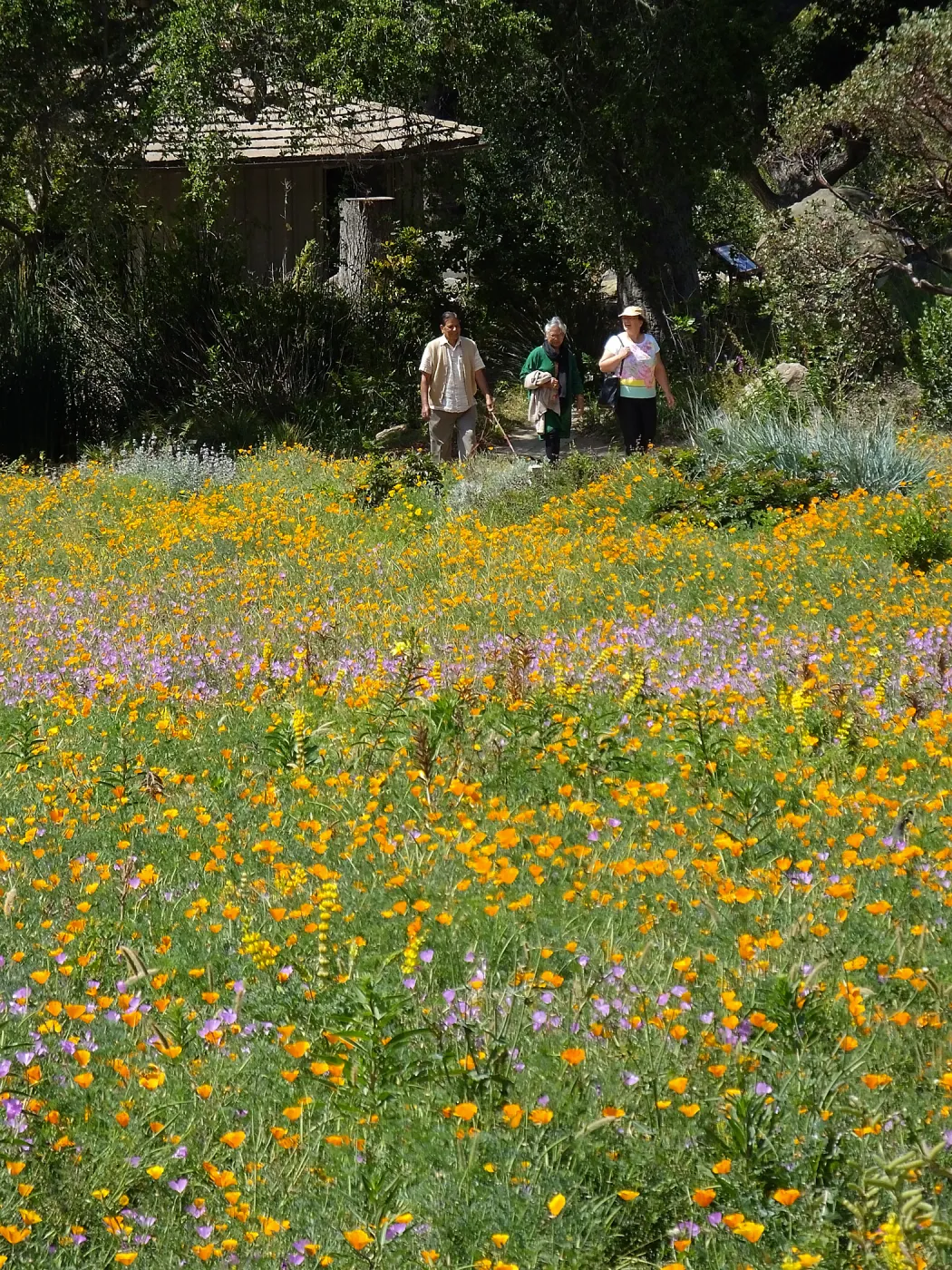 Seniors Free Day visitors at Meadow