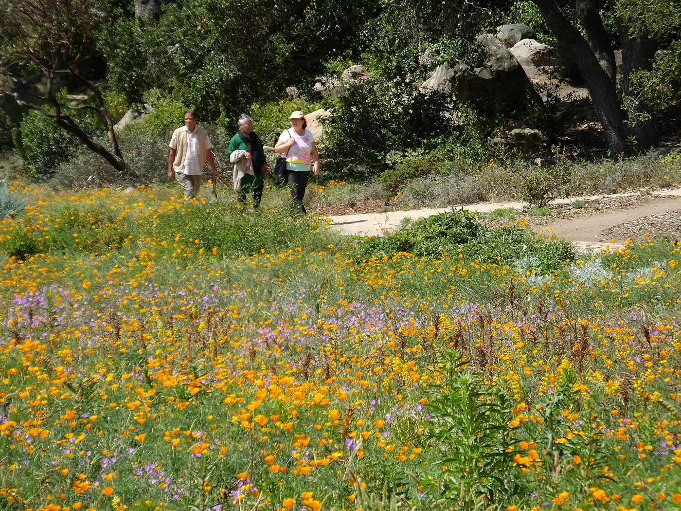 Seniors Free Day visitors at Meadow