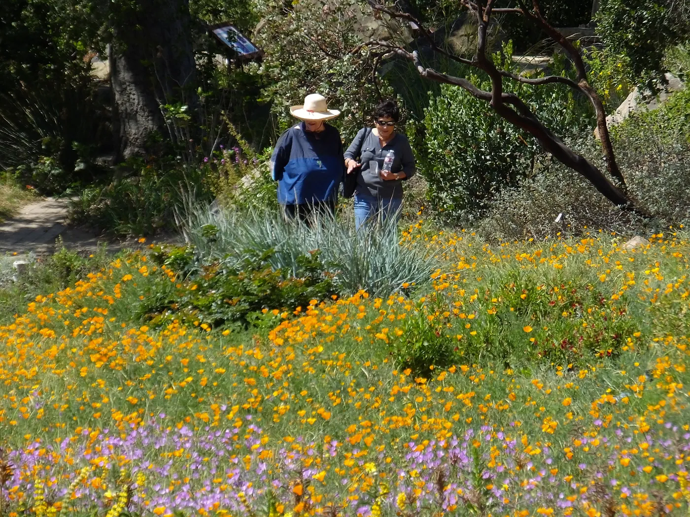 Seniors Free Day visitors at Meadow