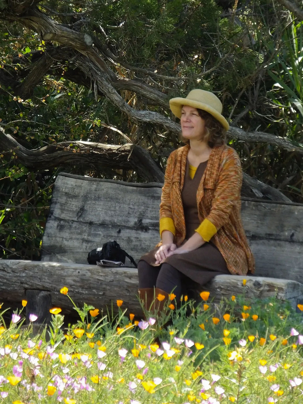 Visitor admiring Meadow from Thomas Holton Bench
