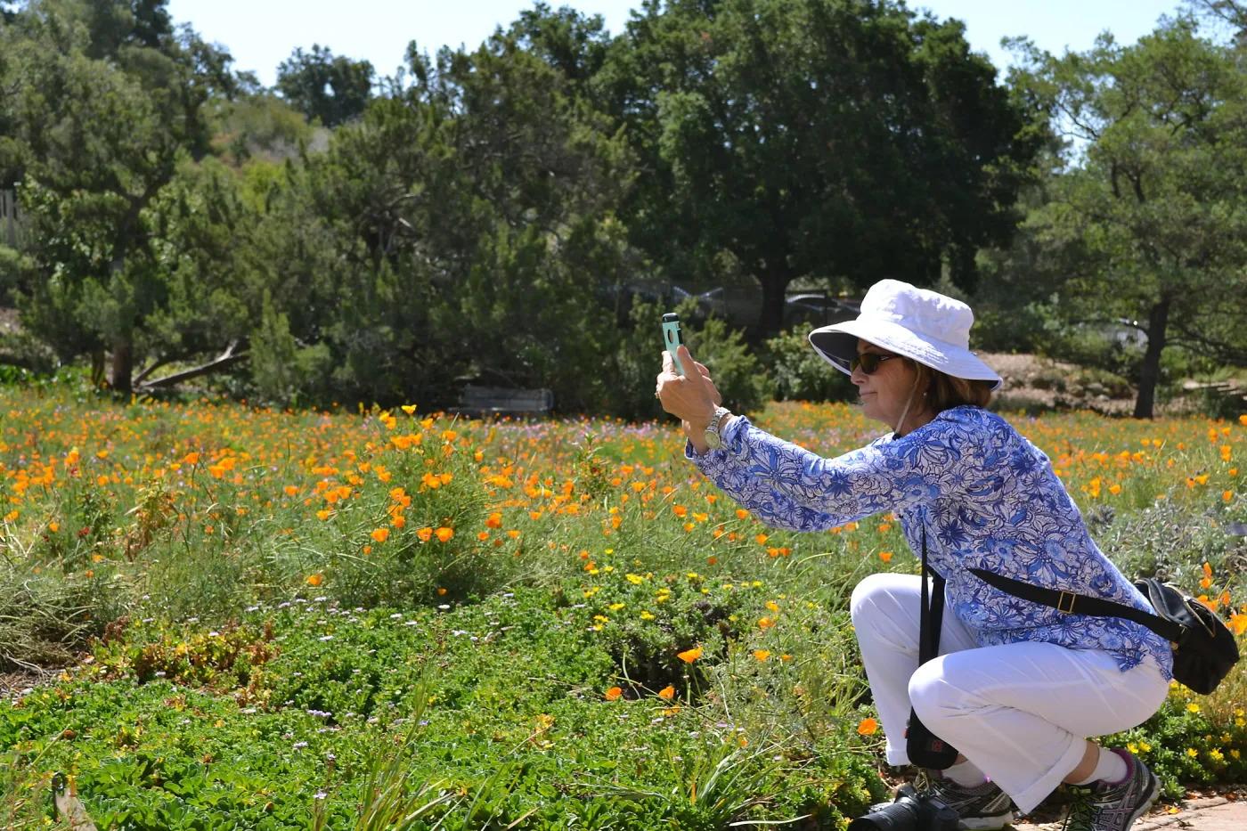 Seniors Free Day, phone photographer at Meadow