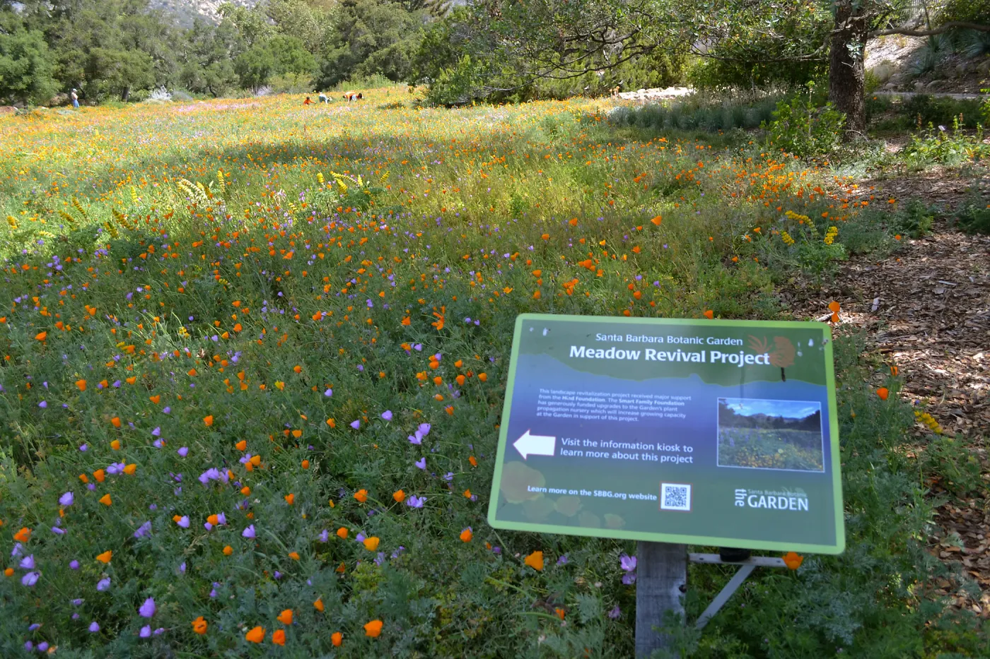 Meadow Restoration Project Sign