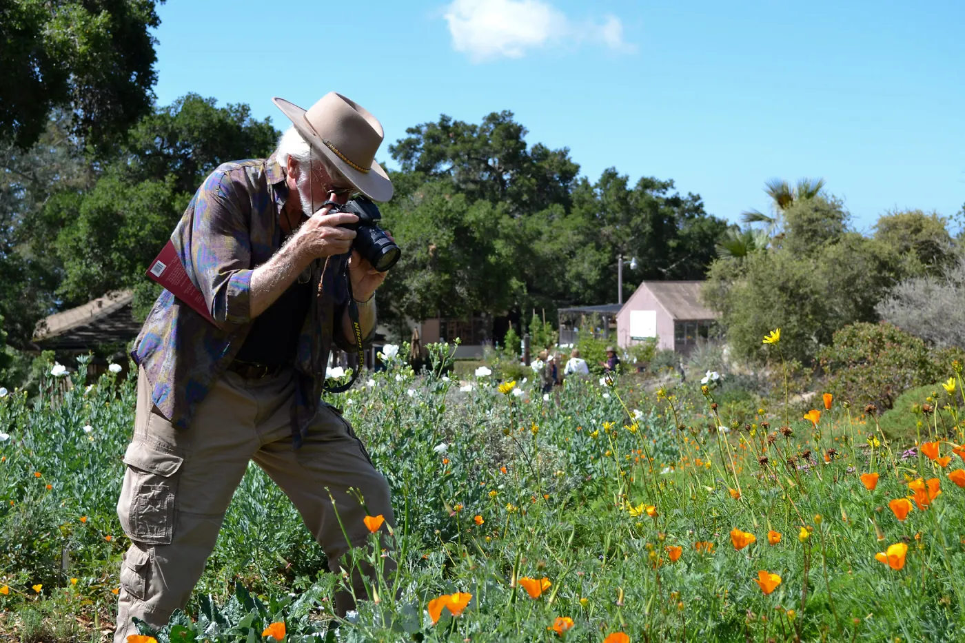Seniors Free Day photographer