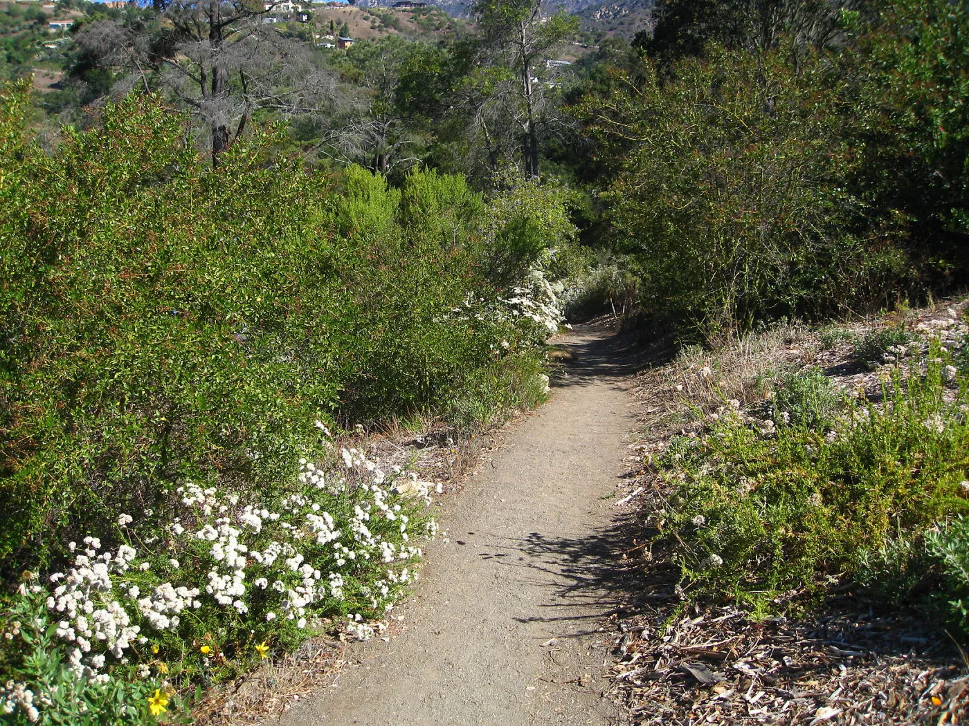 Porter Trail