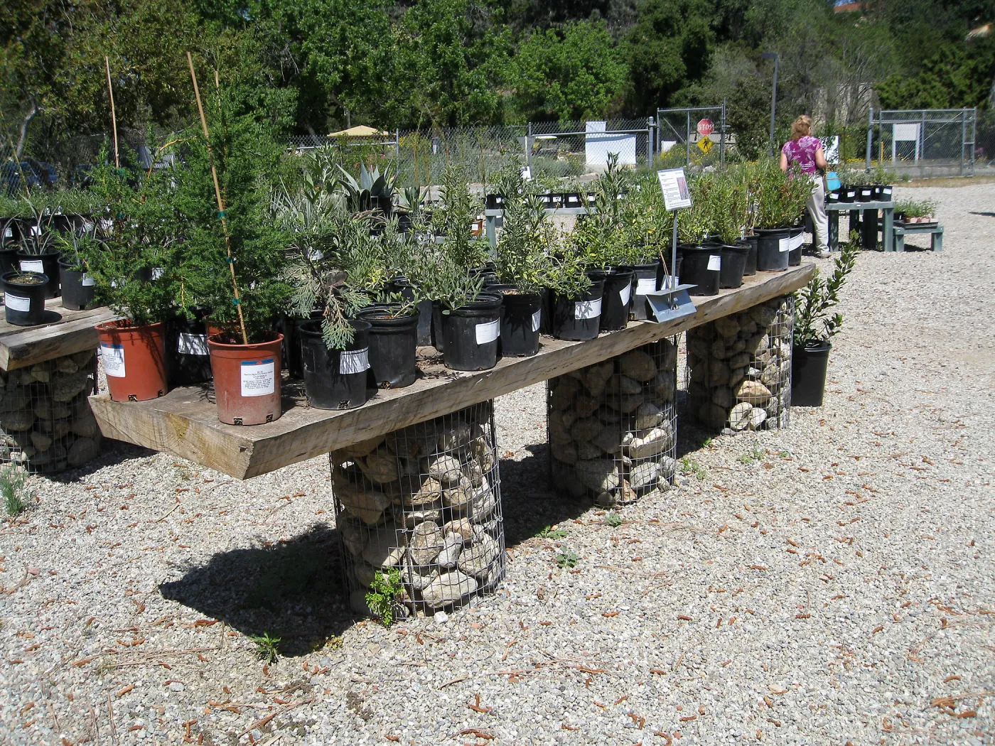 Rancho Santa Ana Botanic Garden