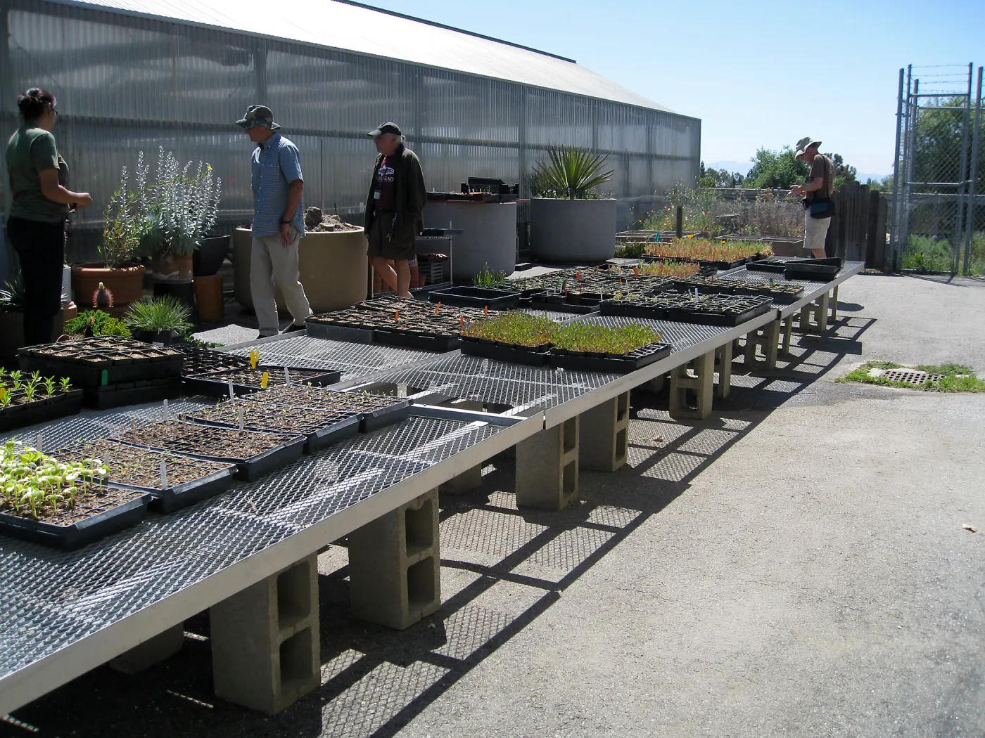 Rancho Santa Ana Botanic Garden Nursery