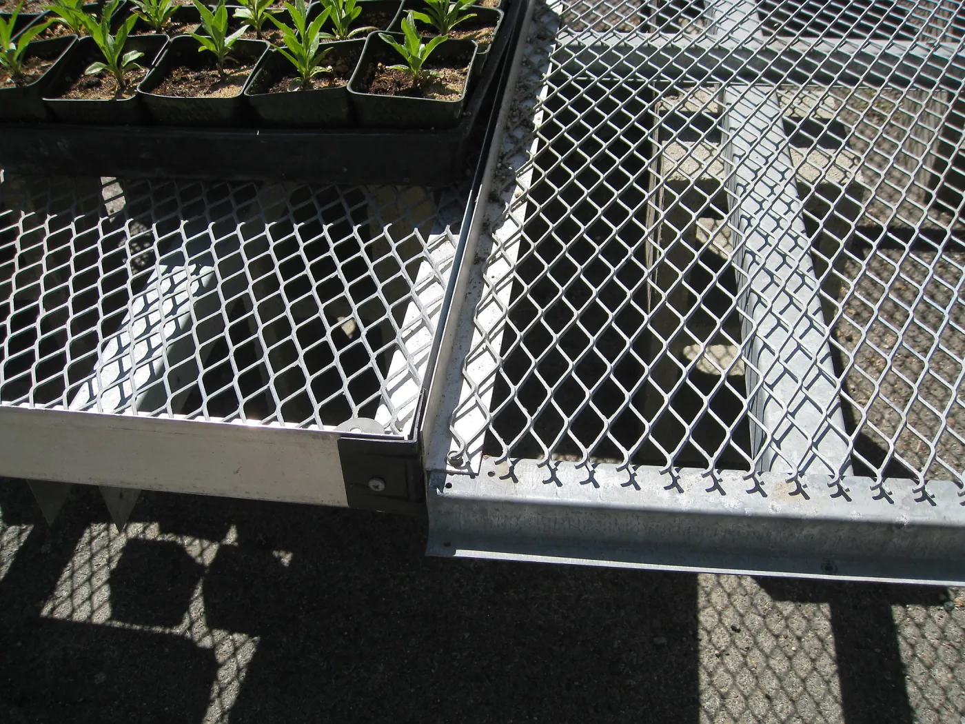 Rancho Santa Ana Botanic Garden Nursery