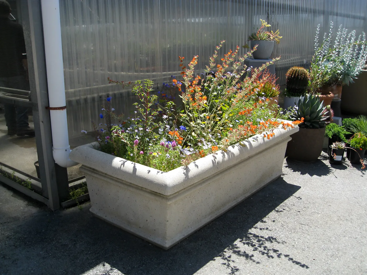 Rancho Santa Ana Botanic Garden Nursery