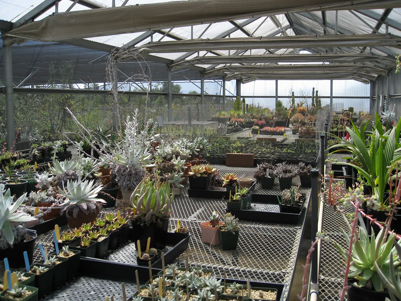 Rancho Santa Ana Botanic Garden Nursery