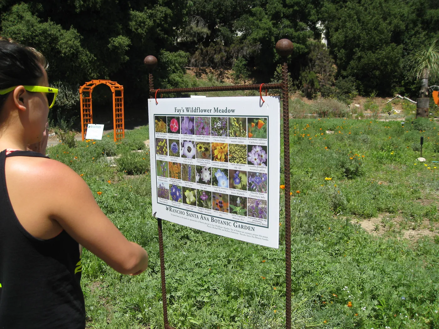 Rancho Santa Ana Botanic Garden