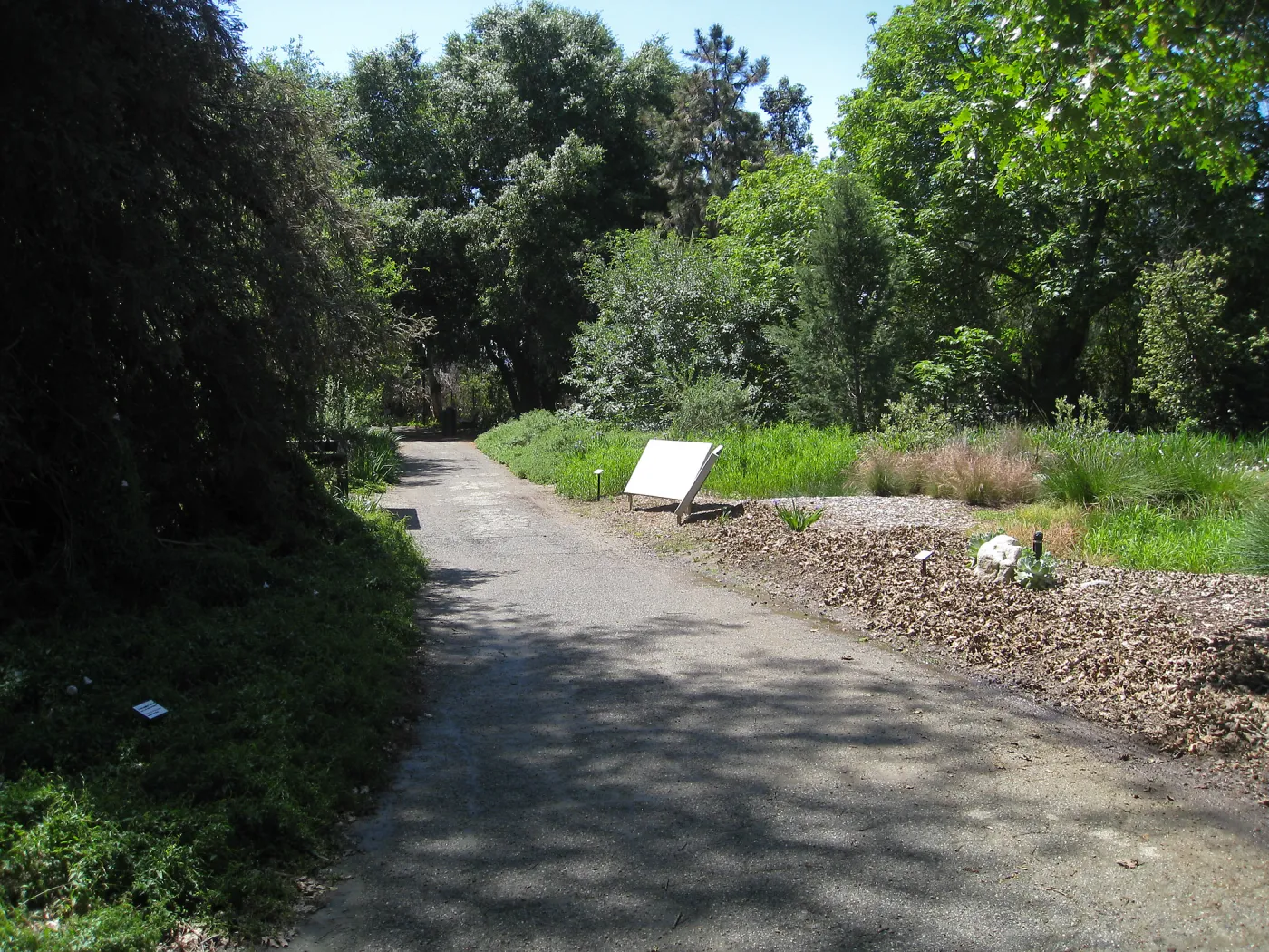 Rancho Santa Ana Botanic Garden