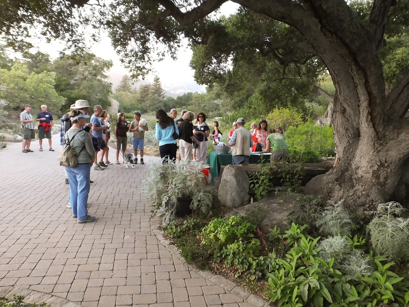 Member Appreciation Month, Blue Moon Hike