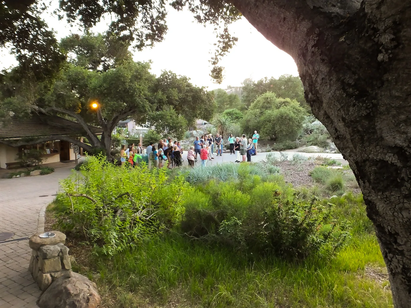 Member Appreciation Month, Blue Moon Hike