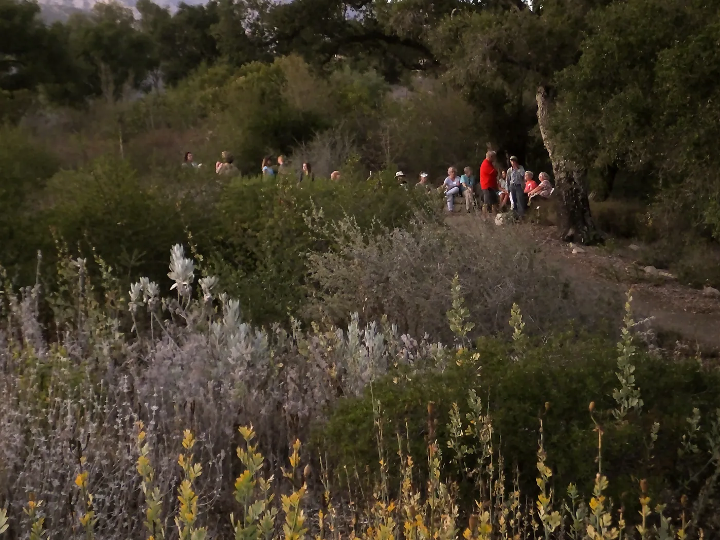Member Appreciation Month, Blue Moon Hike