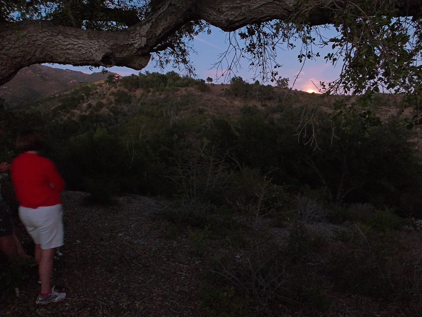 Member Appreciation Month, Blue Moon Hike