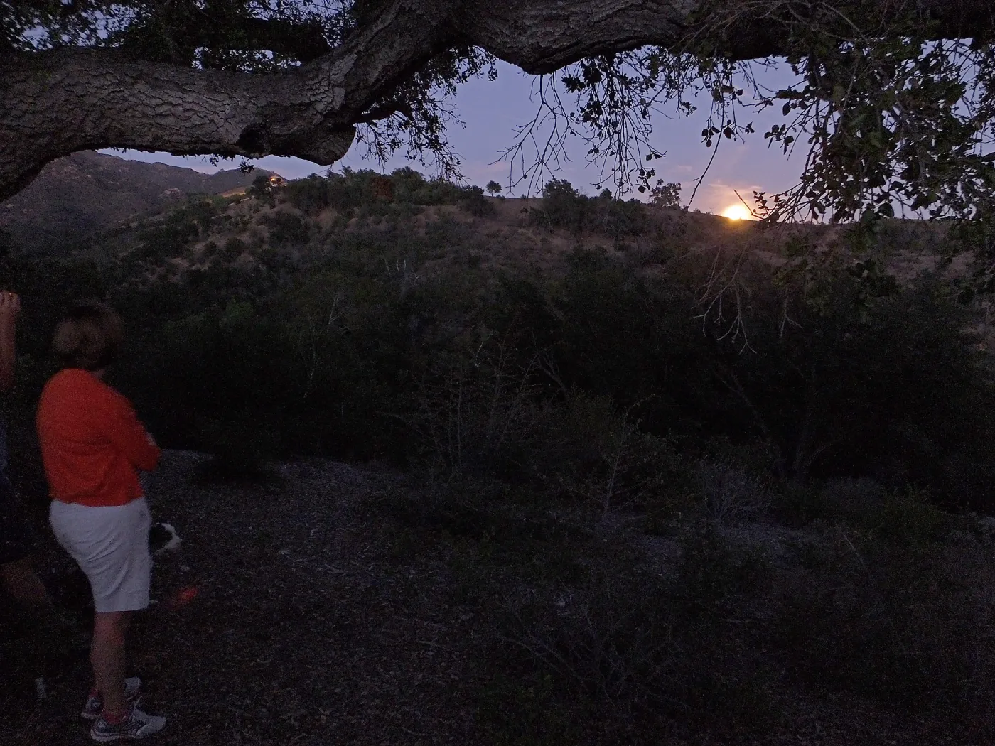Member Appreciation Month, Blue Moon Hike