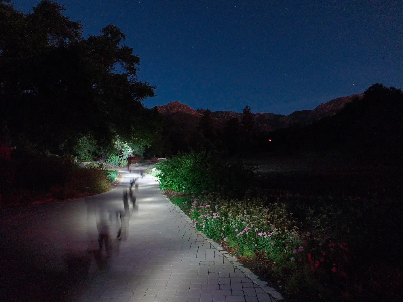 Member Appreciation Month, Blue Moon Hike