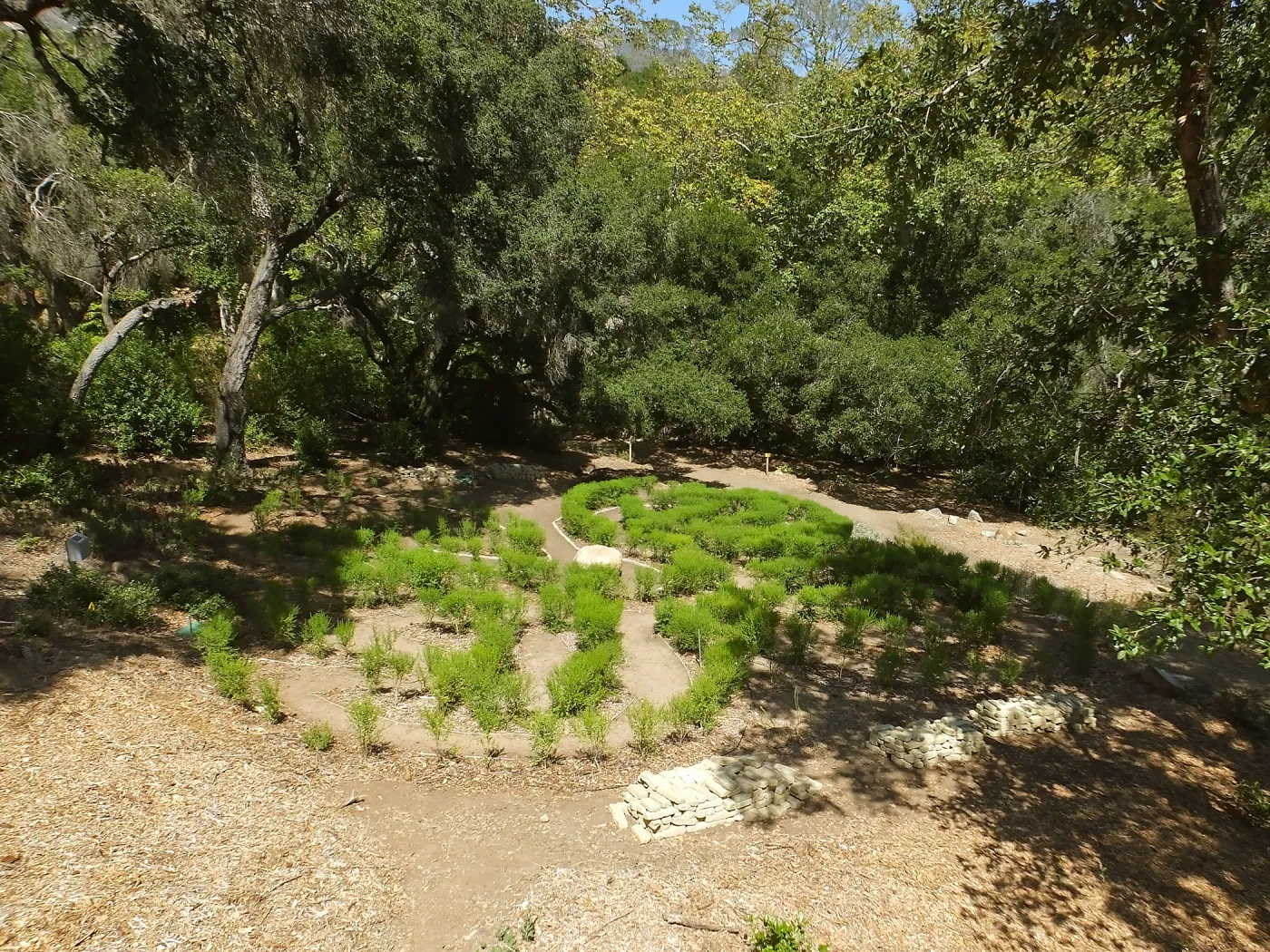 Centennial Maze