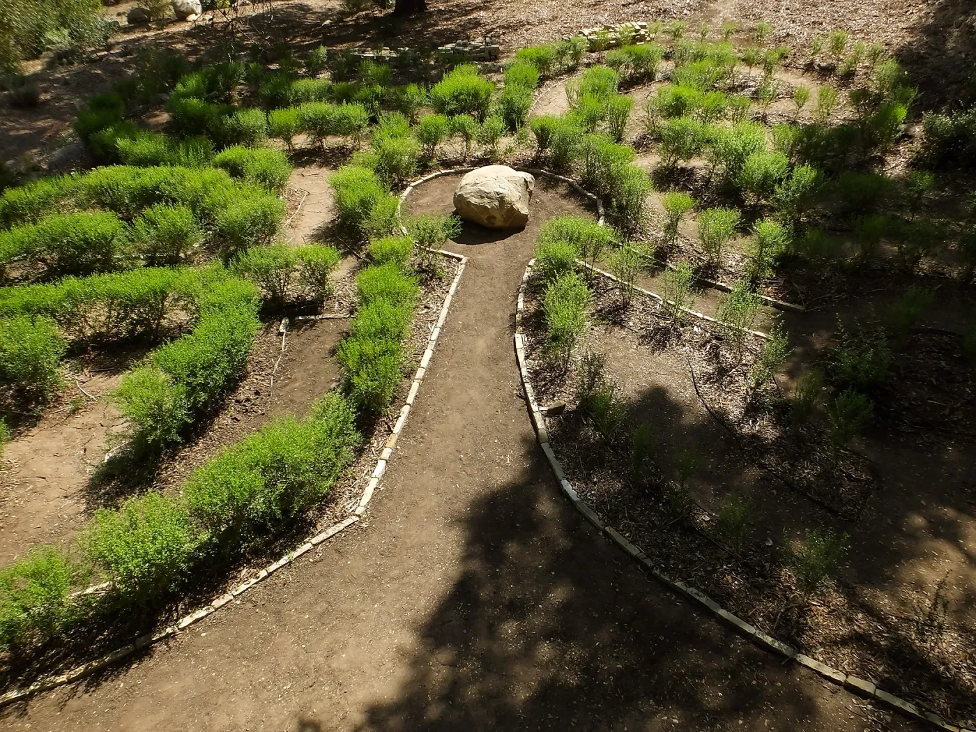 Centennial Maze