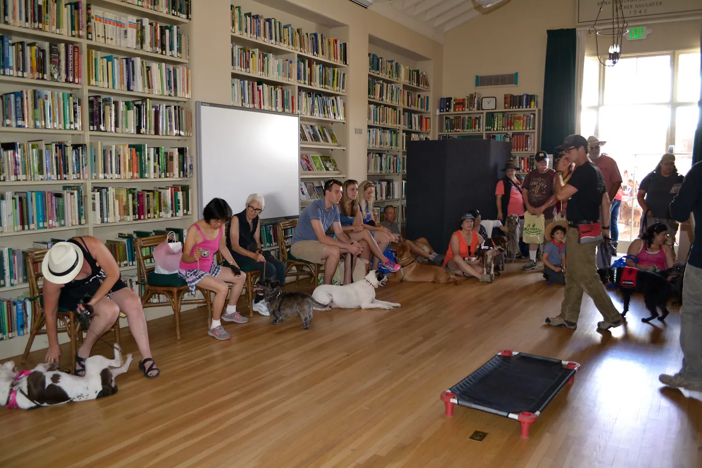 Trails n Tails 2015, dog obedience training demo