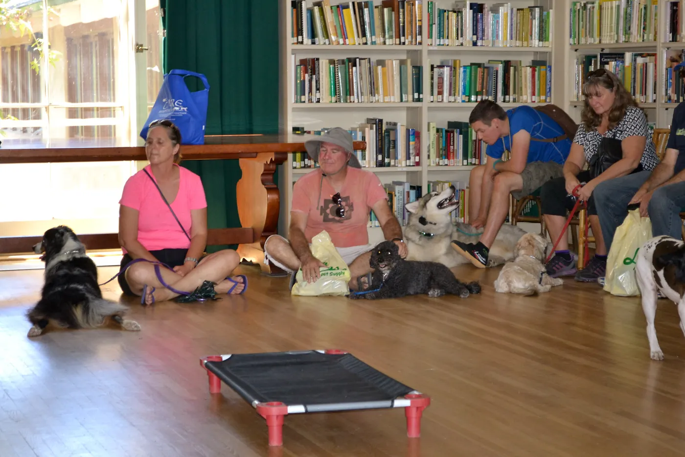 Trails n Tails 2015, dog obedience training demo