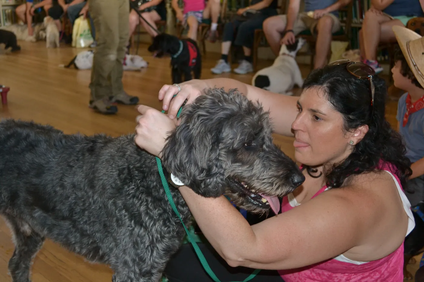 Trails n Tails 2015, dog obedience training demo