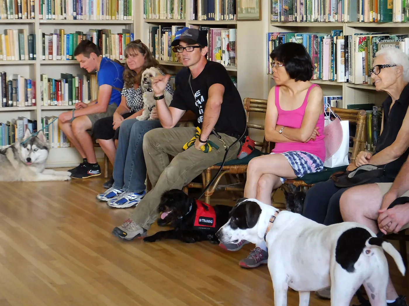 Trails n Tails 2015, dog obedience training demo