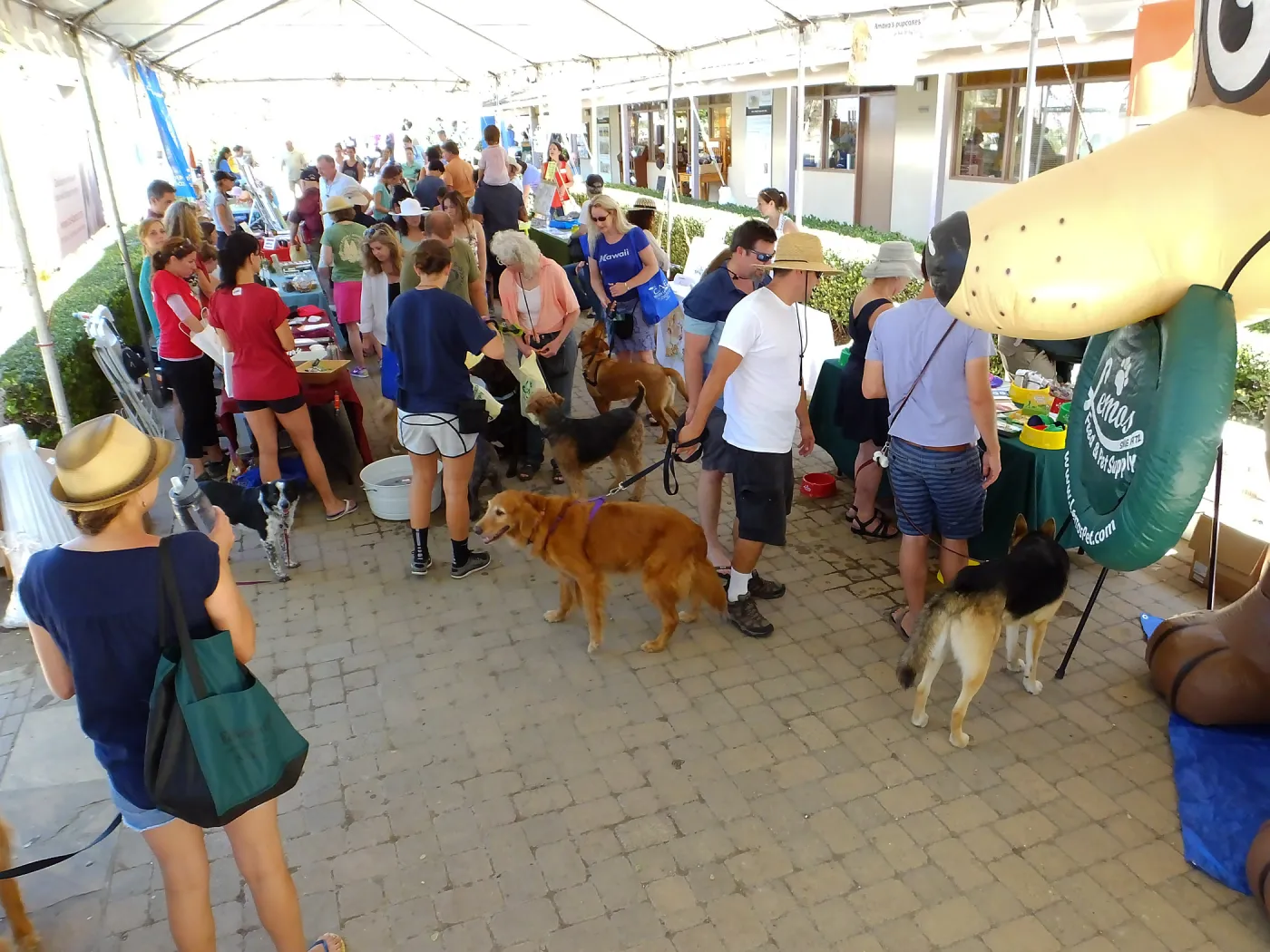 Trails n Tails 2015, vendor tables