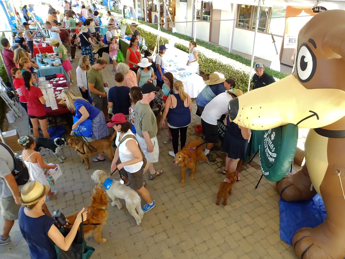 Trails n Tails 2015, vendor tables