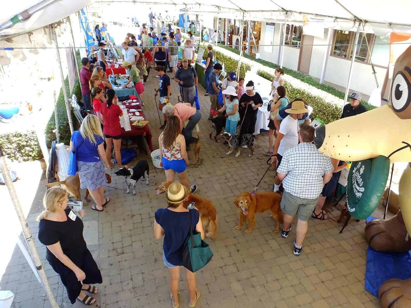Trails n Tails 2015, vendor tables