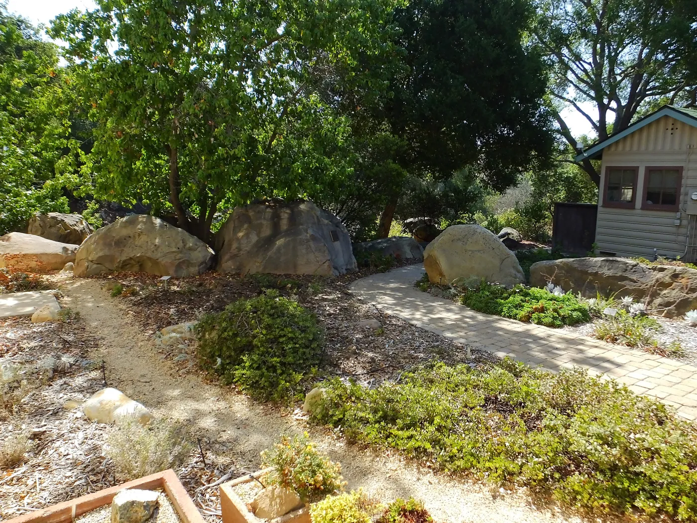 Home Demonstration Garden Renovation, view 4, north side of Cottage, first day of demolition work