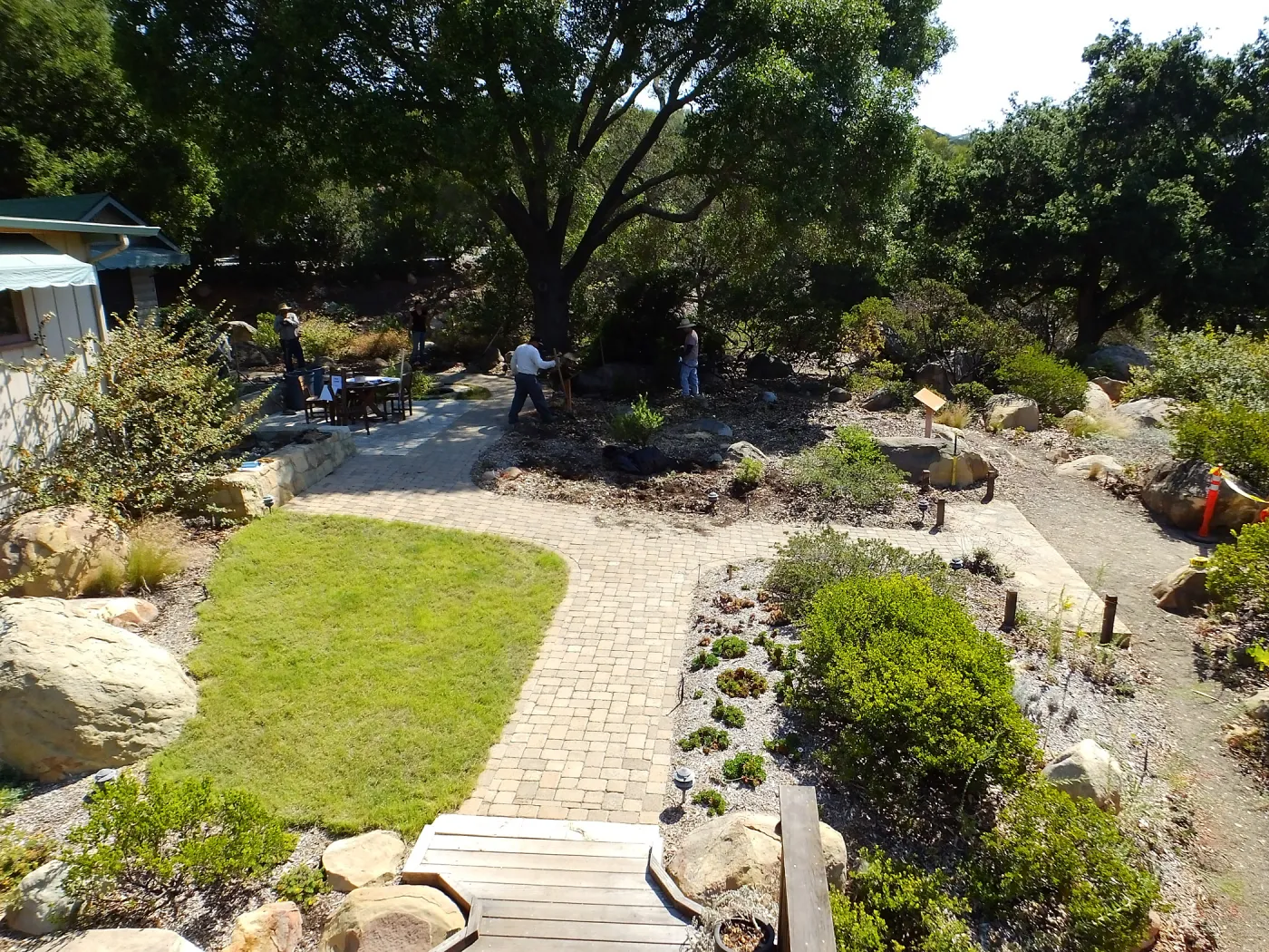Home Demonstration Garden Renovation, view 29, looking east from deck, first day of demolition work