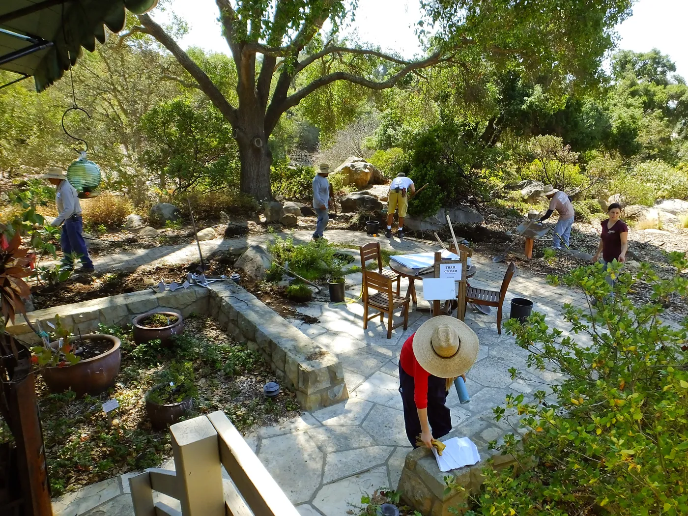 Home Demonstration Garden Renovation, view 19, looking southeast from south entrance of Cottage, first day of demolition work