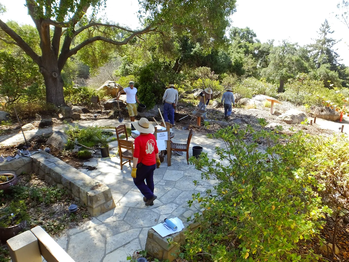 Home Demonstration Garden Renovation, view 20, looking southeast from south entrance of Cottage, first day of demolition work
