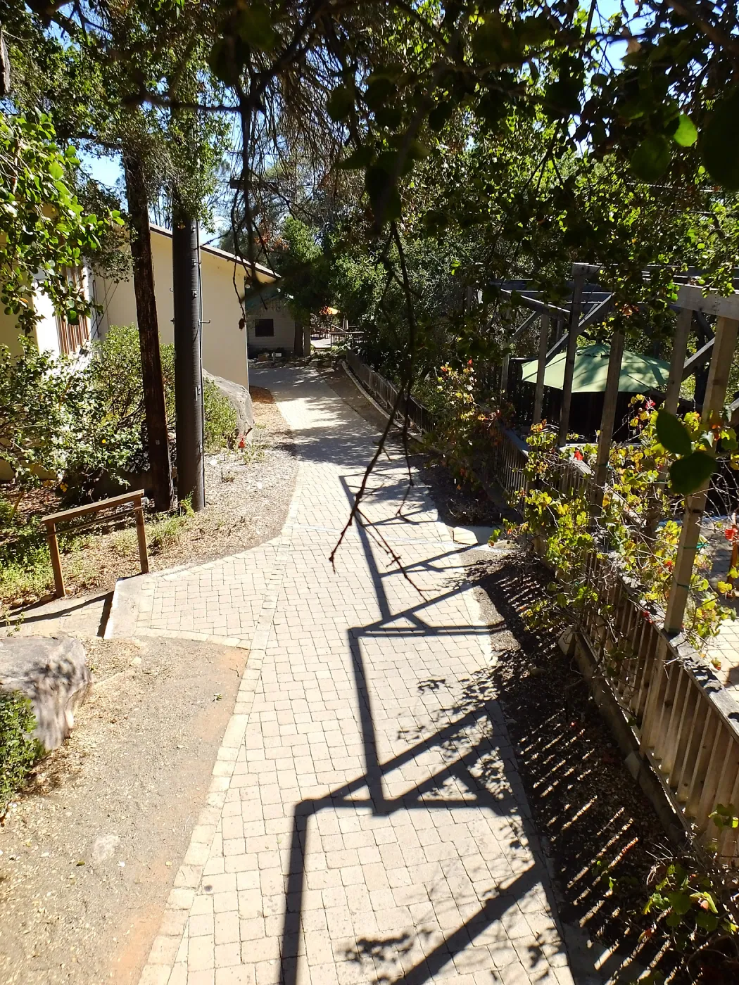Home Demonstration Garden Renovation, view 33, looking south along path west of Herbarium, before demolition