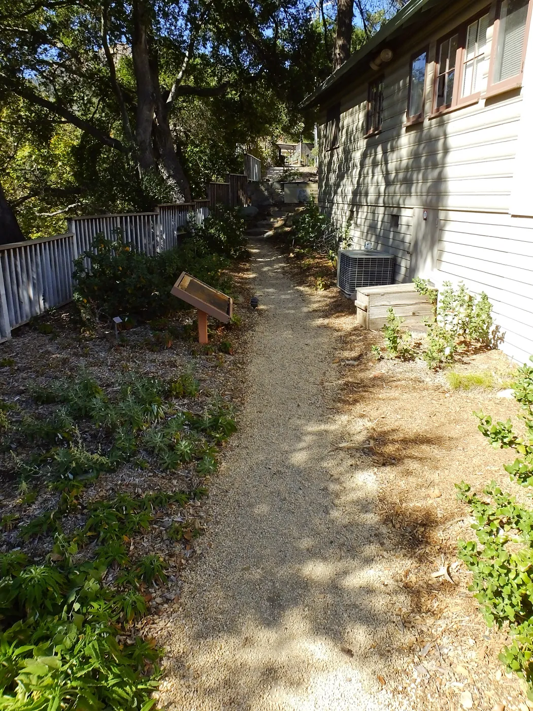 Home Demonstration Garden Renovation, view 30, looking north along path west of Cottage